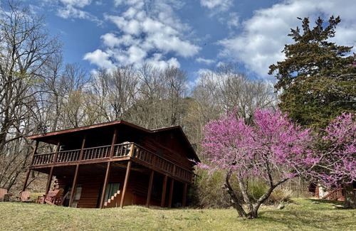 Eureka Springs Cabin | Redbud Valley Cabin 6 Downtown 3mi+Wifi+Pond+Parking