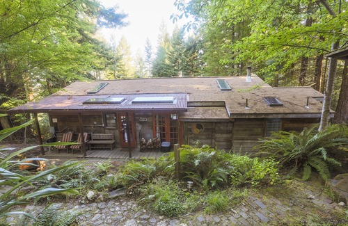 Mendocino Cabin | Redwood Forest Getaway