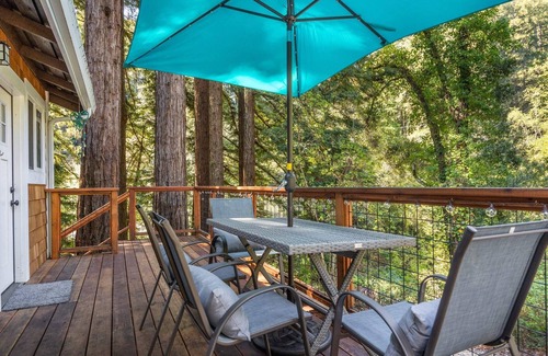 Ben Lomond House | Redwood Home - view of the river!
