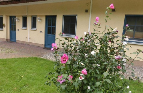 Puddemin House | Reetdachhaus Malve 3 im Feriendorf Puddeminer Wiek