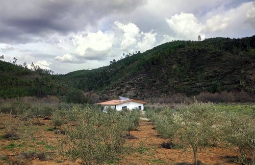 Proenca-a-Nova Cottage | Refúgio do Raposo - CASA da Ribeira (AGROTURISM)