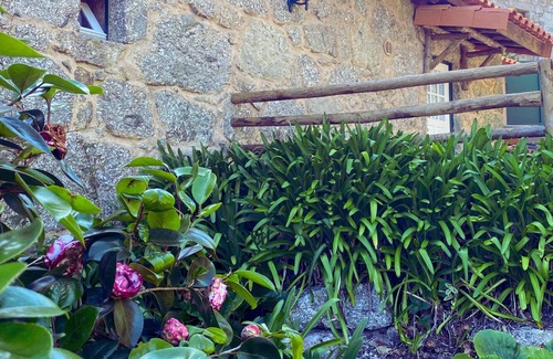 Bico Cottage | Refúgio dos Cartolas