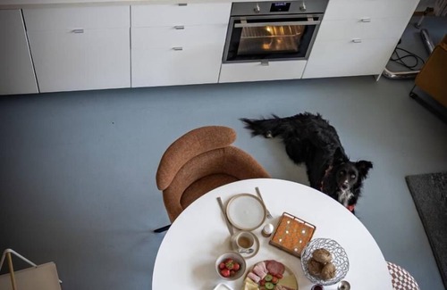 Rot am See Apartment | Refugio - fenced garden, fireplace, large windows, open space, relaxation