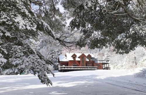 Curacautin Cabin | Refugio Las Raices