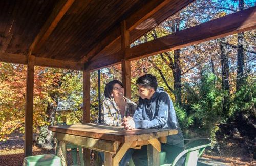 Curacautin Ski Chalet | Refugios Australes en Corralco