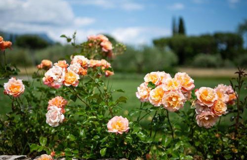 Puegnago del Garda House | Relais de Charme le Videlle