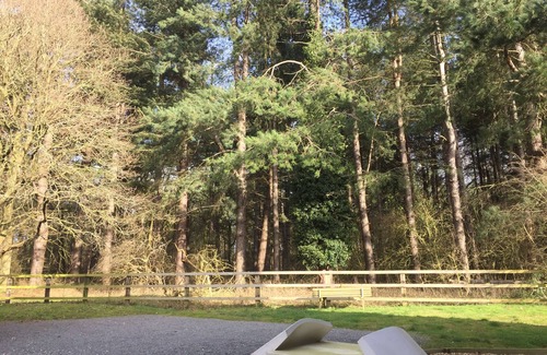 Bury St Edmunds Cottage | Relax and Unwind in Forest View, the perfect place to get away!