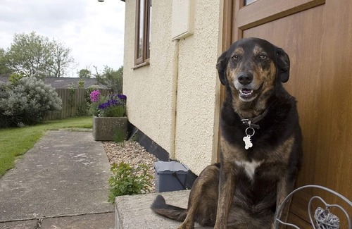 Honiton House | relax and unwind in the beautiful Blackdown Hills on the Devon/Somerset border