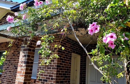 Miranda Apartment | Relax close to city,a studio 10 mins from the beaches and Westfield shopping C.