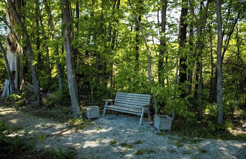 Archie House | Relax in a Fully Loaded RV Stay