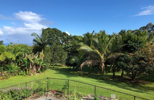 Hakalau Apartment | Relax near Port of Hilo, charming Hakalau apartment