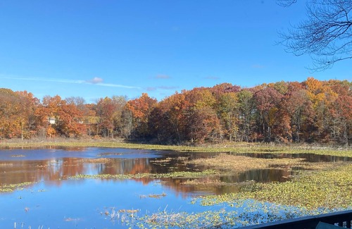 Lawton House | Relax, Recharge, Reconnect in our quiet lakeside getaway in the heart of SW MI.