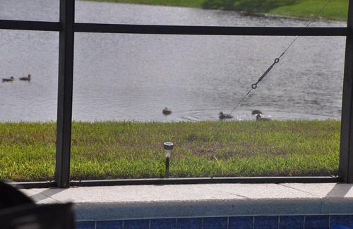 Silver Creek Villa | Relax & Unwind: Lakeview Villa Near Disney with Private Pool & Free Spa Heat