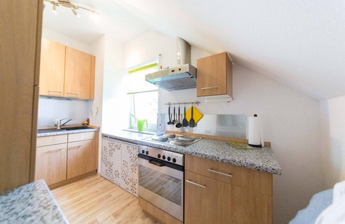 Ruedesheim am Rhein Apartment | Relaxation in the vineyards - Ferienwohnung Isinger