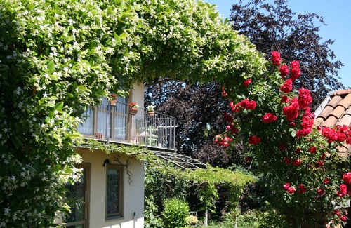 Roletto House | Relaxation in a framework of green nature
