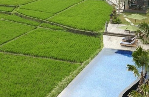 Pengosekan House | Relaxing 1BR with magnificent view