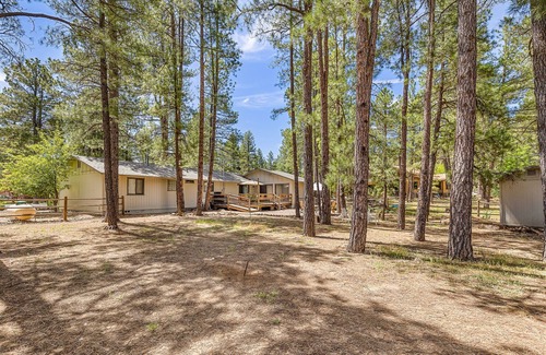 Happy Jack House | Relaxing Lodgepole 3bdr Retreat in the Pines!
