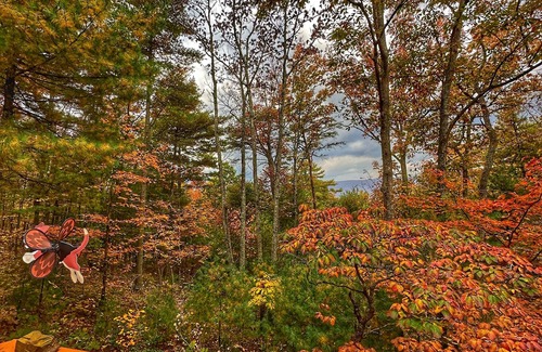 Basye Cabin | Relaxing Mountain Getaway with Hot Tub & Views! 6 minutes to Bryce Ski Resort