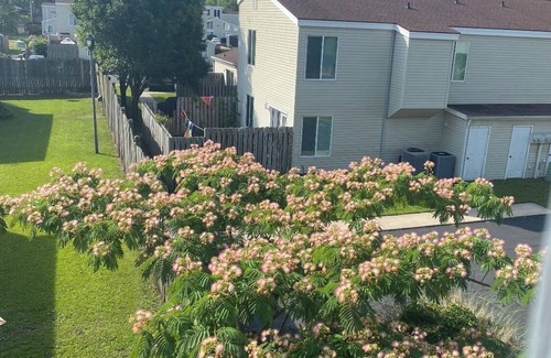 Crescent Beach Condo | Relaxing North Myrtle Beach Condo in quiet neighborhood
