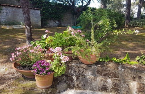 Sutri Villa | Relaxing oasis just a stone's throw from the Via Francigena