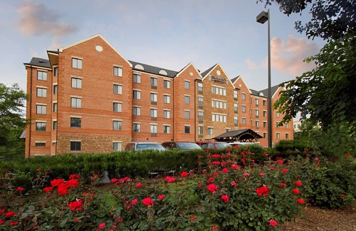 McLean Condo | Relaxing Retreat! Suite with Private Patio in Mclean | Free Breakfast + 24h Business Center