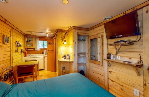 Cedaredge Cabin | Relaxing studio with marvelous mountain views