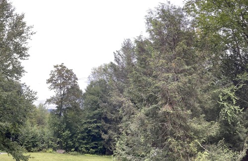 Hamden Cabin | Remarkable views at Cabin -SUV-TRUCK-suggested NO PETS
