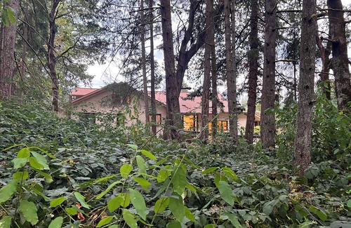 Corvallis House | Remodeled basement in Corvallis, surrounded by forest and trails!
