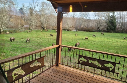 Hoquiam House | REMOTE HUMPTULIPS RIVER CABIN!