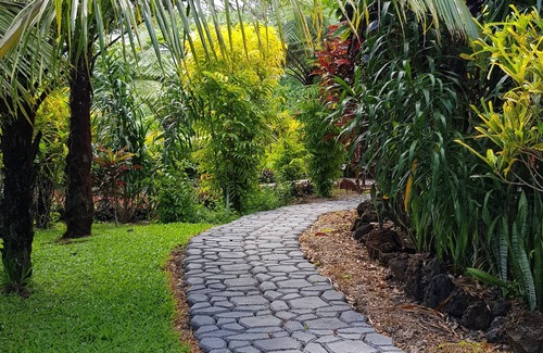 Taveuni Island West Villa | Remote, Romantic Tropical Villa with outdoor pool—15-minute walk to the beach!