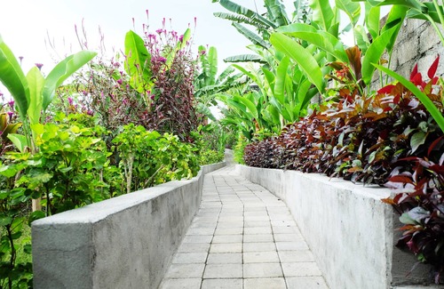Ubud Villa | Rendira villa two bedroom villa with private pool & paddy's view