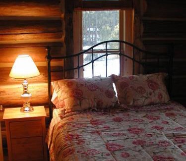 Custer House | Renegade Log Cabin