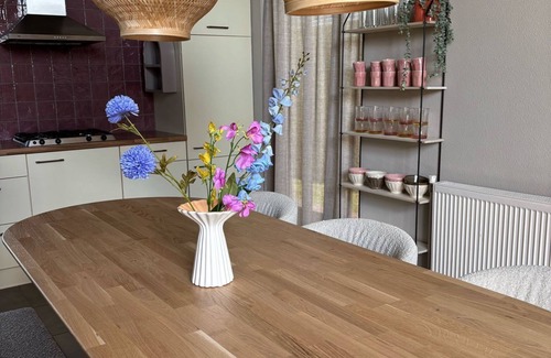 Tzummarum House | Renovated, detached and cozy vacation home with fenced garden!