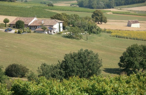 Gaillac House | Renovated, quiet house with swimming pool and SPA, in the heart of the Gaillac vineyards