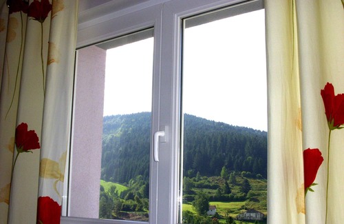 Basse-sur-le-Rupt House | Renovated stone house, classified 3 stars between La Bresse and Gérardmer
