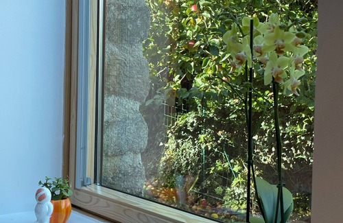 Baden House | Renovated stone house in Baden.