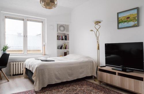 Kallio Apartment | Renovated Top Floor Studio in Kallio