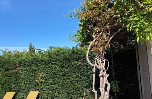 Fontvieille House | Rent our lovely house with pool in Fontvieille