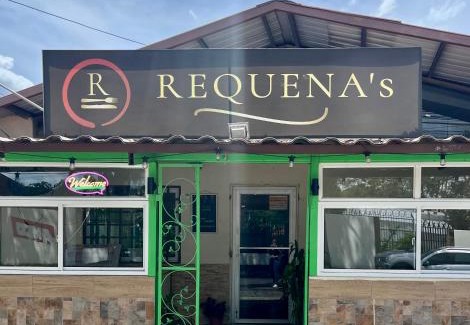 David Apartment | RequenaS