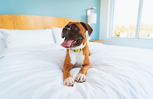 West Greenwich Hotel | Residence Inn Providence Coventry