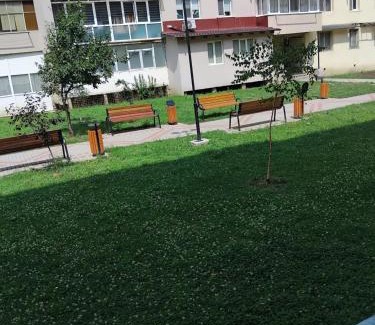 Tirgu Neamt Apartment | Residence Manu Tg Neamț