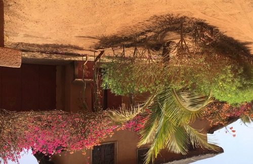 Nianing House | residence nianing1, Villa4, mbour: senegal: calm and peaceful .