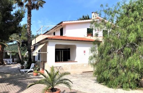Defensola Apartment | Residence Palm Garden
