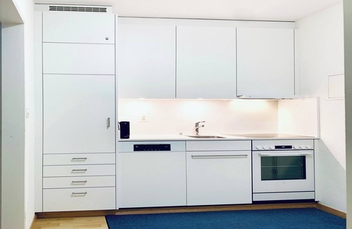 Sils-Maria Apartment | Residenza Lagrev - 1 room flat no. 004 - type 12A - raised ground floor - south