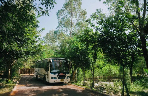 Bhadravathi Resort | Resort in Tadoba, Moharli