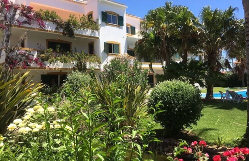 Ferreiras Apartment | Resort Solcosta- 1 bedroom apartment, pool, A/C, Wi-Fi, Gym,close to restaurants