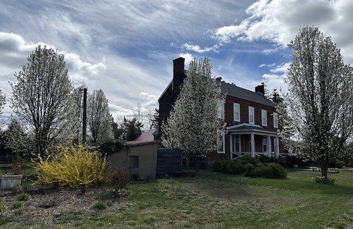 Pamplin Cottage | Restful new cottage facing woods and paths near historic sites & biking trails