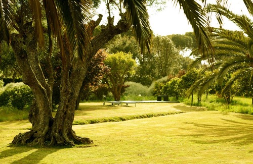 Meco Cottage | Retiro na Praia a 30 min de Lisboa em Pleno Parque Natural da Arrábida