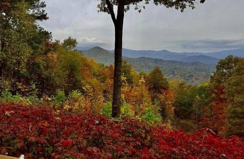 Bryson City Cabin | Retreat in the Sky.For All Those Special Occasions!.