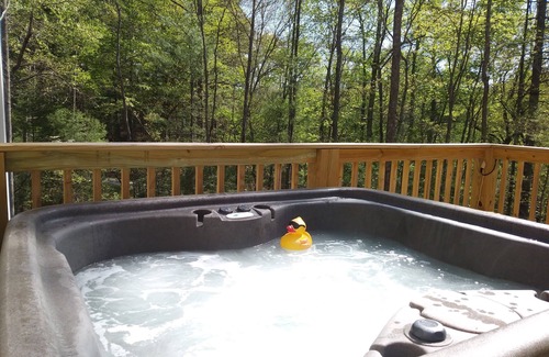 Hendersonville House | Retreat In The Woods Yet Close To Everything!